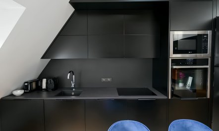 Paris Panache 4