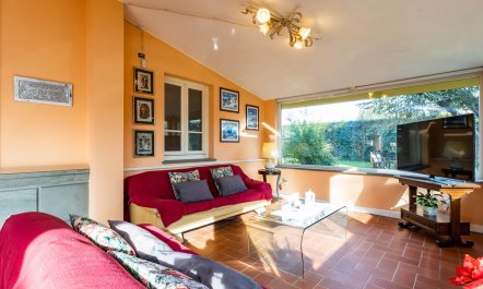 Cedar Serenity 9