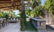 Hyacinth Ranch 4