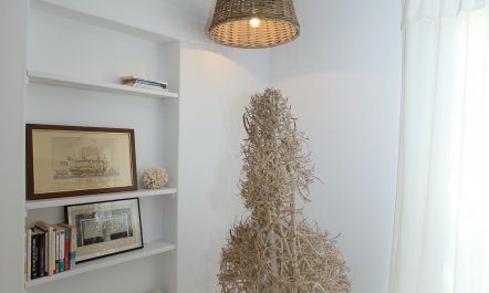 The Apricot Tree 8