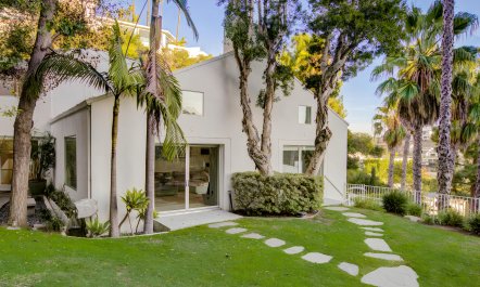 Hollywood Dream 1