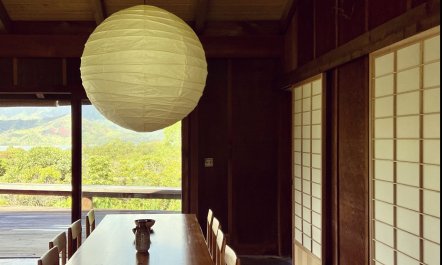 Bamboo Paradise 3