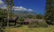 Bamboo Paradise 0