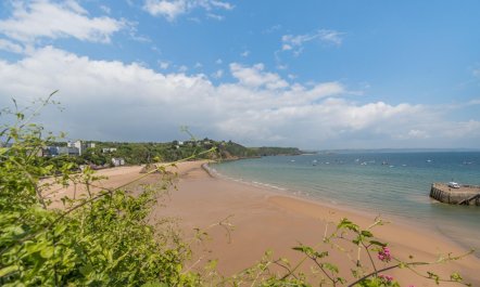 1 Bed in Tenby 9