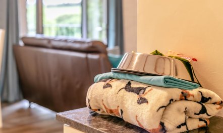 2 Bed in Duloe 4