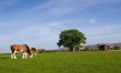 1 Bed in Blairdrummond 6