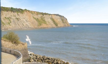 2 Bed in Robin Hoods Bay 4