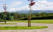 1 Bed in Blairdrummond 7