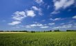 2 Bed in Hartest 5