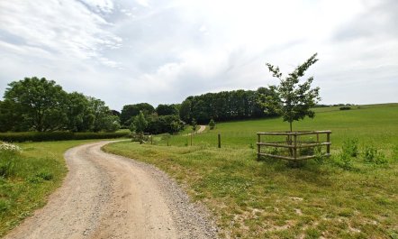 4 Bed in Chebbard 5