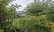 4 Bed in Chebbard 1