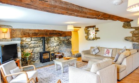 4 Bed in Llanfihangel Y Pennant 1