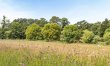 3 Bed in Chediston 4