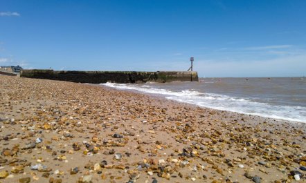 1 Bed in Felixstowe 4