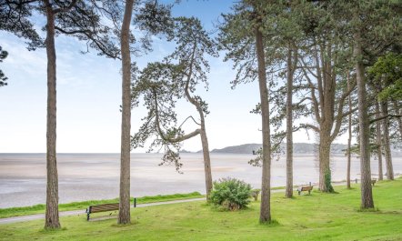 2 Bed in Mumbles 5