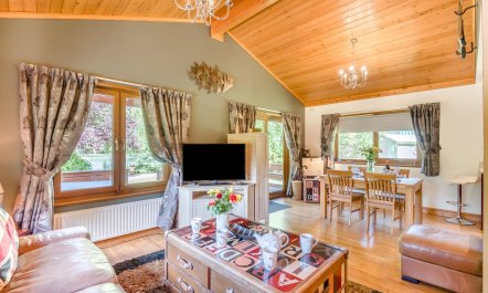 2 Bed in Newport 5