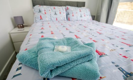 2 Bed in Millendreath 6