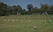 1 Bed in Runham 3