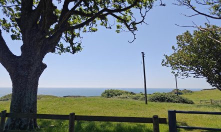 2 Bed in St. Lawrence 1