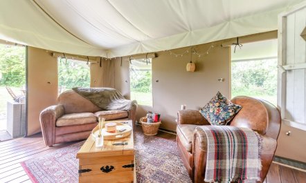 3 Bed in Arley 5