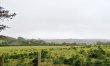 2 Bed in Adgestone 9