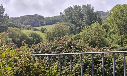 2 Bed in Godshill 1