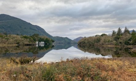 1 Bed in County Kerry 1