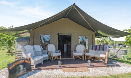 3 Bed in Arley 3