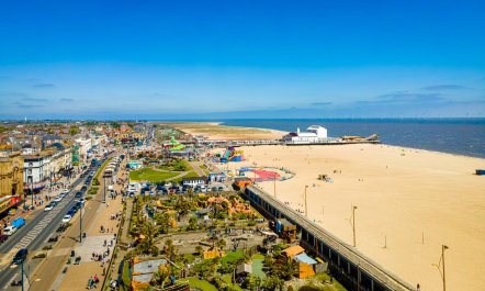 1 Bed in Runham 4