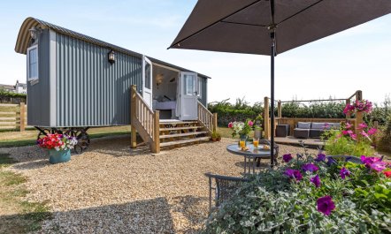 1 Bed in Newton Tracey