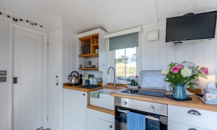1 Bed in Newton Tracey 4