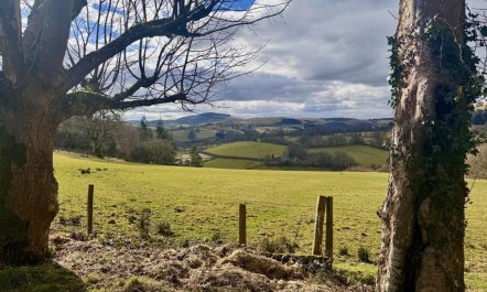 2 Bed in Llanwrtyd Wells 1