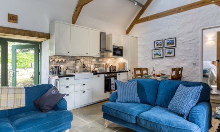 Dinas Cosy 4