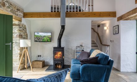 Dinas Cosy