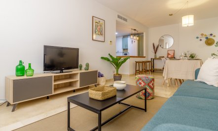 Malagueta Modern 2