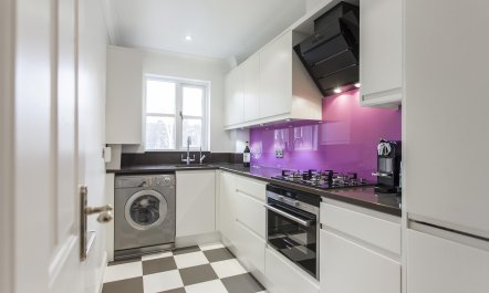 A Pop of Fuschia 2
