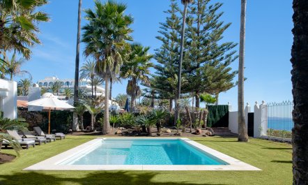 Paloma & Palms 9