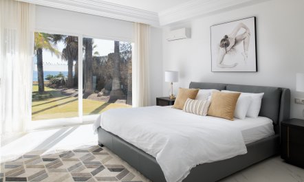 Paloma & Palms 4