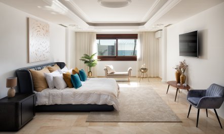 Paloma & Palms 7