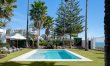 Paloma & Palms 9
