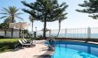 Paloma & Palms 1