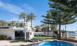 Paloma & Palms 8