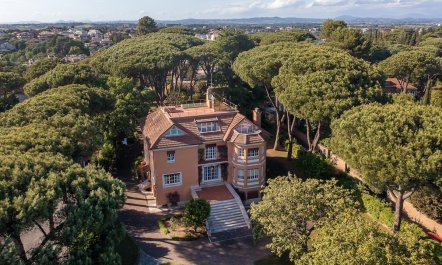 Rome Above the Treeline 0