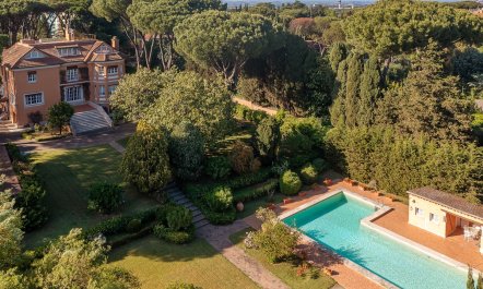 Rome Above the Treeline 1