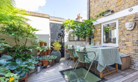 The Marylebone Rose 1