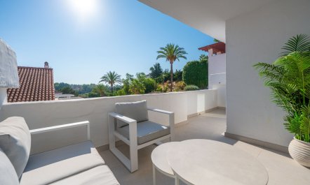 Concha & Coast 6