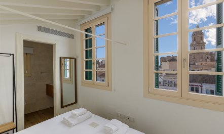 Cathedral Meridian 8