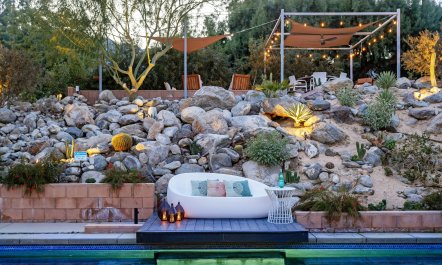 The Desert Pine 5