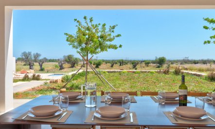 Puglia Sunshine 5