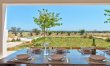 Puglia Sunshine 5